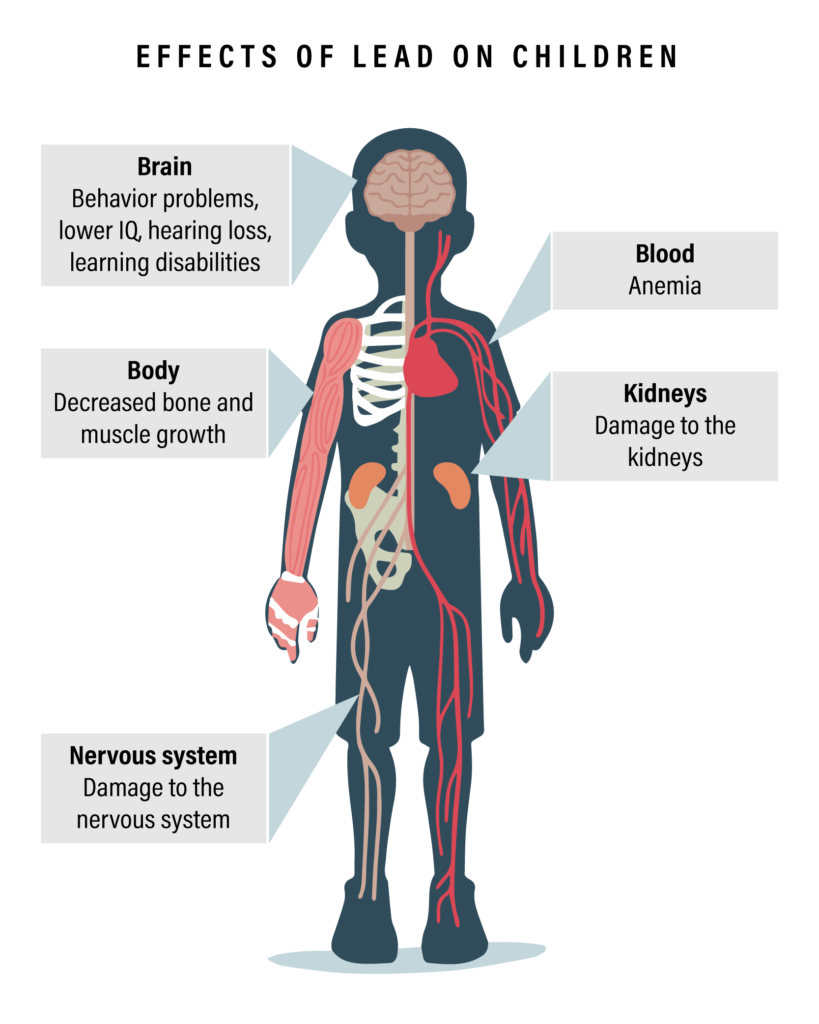 health effect of lead in drink water on human body