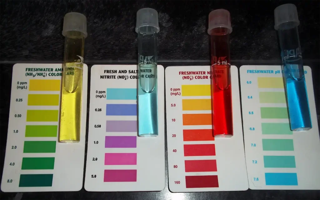 Key Parameters in Water Quality Testing